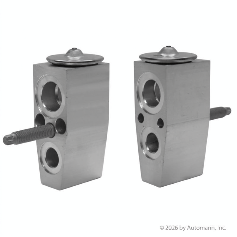 AC Expansion Valve - 830.42030BE | AAA50042030BE